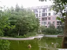 新上房源+电梯中间楼层+万科物业+双书包!