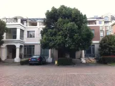 大开间,小区中心位置,采光充足,居家装修