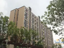 二梯四户,大两房,品质小区,精装修,房型正气