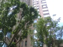 礼嘉 龙湖悠山时光(高层)三房150万