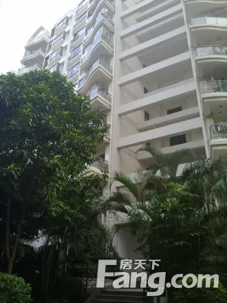 绿家园