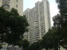 区域好房,复式,有露台30平米,50万精装修不用动。