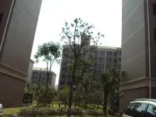 聚焦前滩 在建新杨思 次新商品房电梯一房,3轨交通