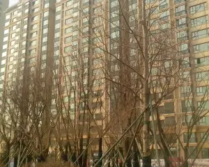 万达广场 恒大雅苑 视野开阔 精装修房大窗户 房本在手