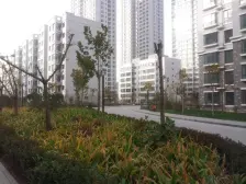 兰州市城关区拱星顿街道段家庭路欣欣茗园,格局方正