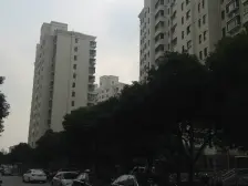 中芯位置,能看黄浦江的支流,店长主推,错过很遗憾