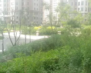 东岸国际二期 5室3厅 南 北