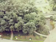 东风广场 五期一居室 楼龄新 视野开阔