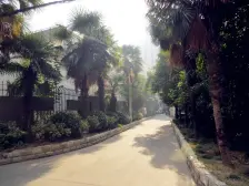 东园二村高区两方景观房背靠东方明珠三大件