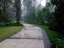 汽博中心 奥林匹克花园十期(御锦一期)四房