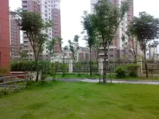 浦江·虹浦新城-浦涛路505弄·1室·1厅