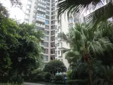 此房满两年,朝中庭,中楼层,采光不错可拎包入住