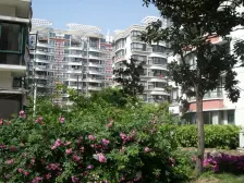 电梯洋房 南北飞机户型 楼间距大采光好 近地铁方便看