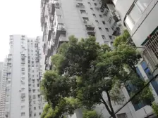 陆家嘴高区电梯2房+未来地铁口+税费少