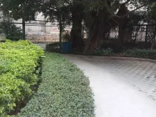 新华城朝南三房带大阳台居家装修产权清晰 满五年