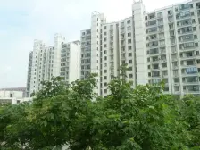 老闵行 · 南洋博仕欣居 · 3室 · 2厅