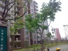 近地铁,原始动税费少,高区视野好,钥匙房随时看