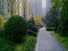 板楼结构,户型好,视野开阔,南北透,纯板楼