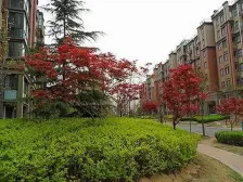 多层洋房带电梯、南北通透双阳台,精装修拎包即住。