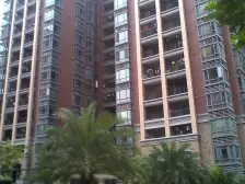 虎门国际公馆 二期别墅,户型方正,毛坯大花园