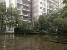 同创国际 1室1厅 北