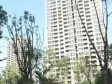 嘉宝品质小区 户型方正 诚意出售 配套齐全