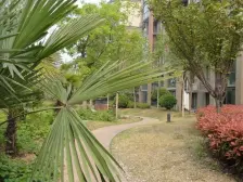 新上60平露台双阳光房电梯已装多8平方入户花园税低