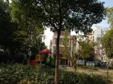 浦江世博家园四街坊1室南朝向335.00万元/套出售