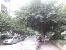 碧景园小区 3室1厅 东南