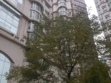 优质高品质电梯好房,楼层好,视野宽阔,采光充.