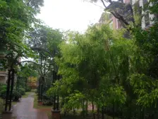 旭辉洋房四房三卫带花园 台球室 影音室