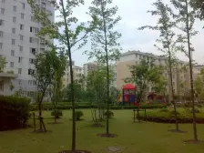 8号延长线50米,商品房小区,落地阳台,带飘窗,诚售