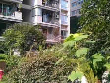 总价低,适合刚需购房一族,电梯房,视野采光好