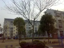 全明两房,采光好无遮挡,配套完善,中间楼层,毛坯房