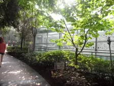 大渡口步行街。满2年 出门轻轨