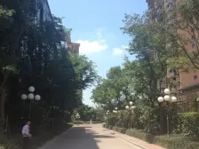 新虹桥一房,宜居舒适,通风采光好!