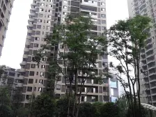 动物园轻轨边精装中庭两房 购物近出行方便 钥匙房