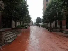 北滨路品质小区,顶跃四房,采光充足,使用面积大