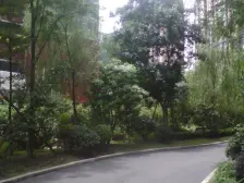 礼嘉 龙湖悠山时光(高层)三房115万