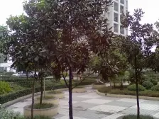 3号轻轨园博园旁,正规大两房,出行方便