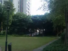 龙湖品质纯洋房别墅小区总高6层小洋房正三房双卫