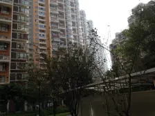 师大现代花园 3室2厅 西