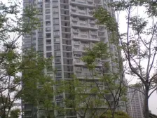 半岛花园 1室1厅 南