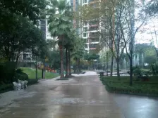 光电路 龙湖观山水四房124万