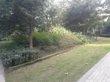 石马河 海悦蓝庭三房200万