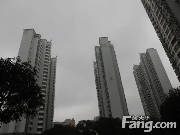 嘉利明珠城