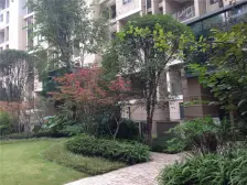 北滨路 龙湖精装1百w 装修2年 一线看江