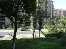 艾溪湖公园南路溪湖春天大户型5房出售