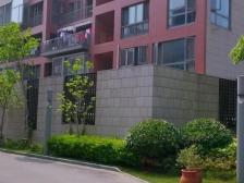 面宽13.5米洋房大平层丨170㎡露台丨一梯一户得房率高
