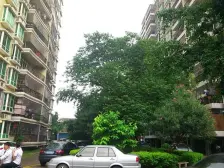 梦泽园 4室1厅 南